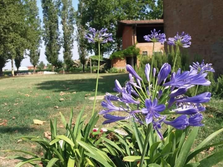 B&B Il Naviglio Di Antonelli Fabio 巴斯蒂利亚 外观 照片